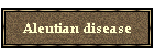 Aleutian disease