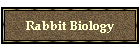 Rabbit Biology