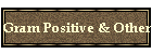 Gram Positive & Other