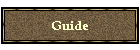 Guide