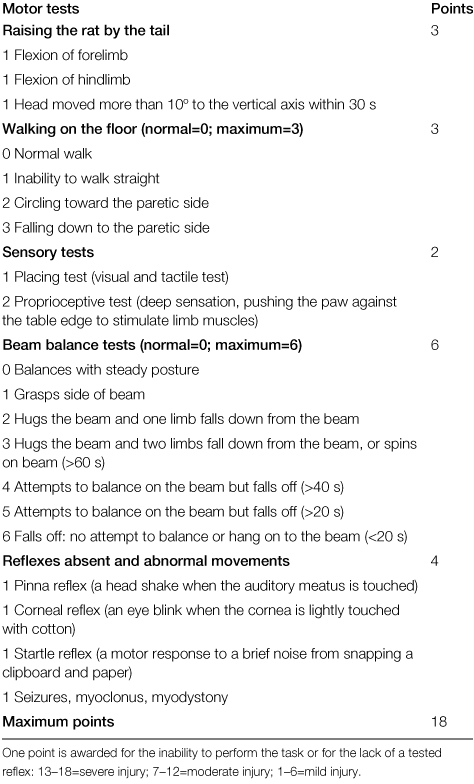 Modified Neurological Stroke Scale
