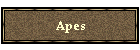 Apes