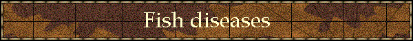 Fish diseases