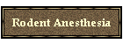 Rodent Anesthesia