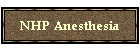 NHP Anesthesia